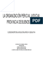 Profesionales en Funcion Judicial-Pericial Oficial PDF