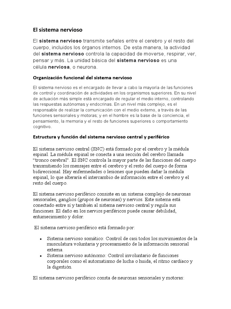 Estructura y funciones del sistema nervioso | PDF | Sistema nervioso ...