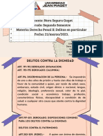 Delitos Contra La Dignidad PDF