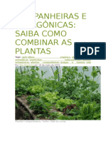 Companheiras e Antagonicas PDF