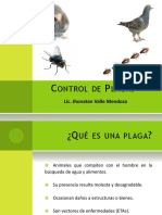 Control de plagas: métodos y equipos