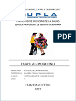 Monografia Huaylas