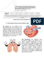 Guia Función Org Int Clase 2 Sem 20 Al 24 Marzo