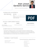 Currículum Vitae PDF