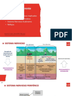 2023 - Tema 5. División Eferente PDF