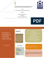 Conceptos y Estrategias Enfemeria Cardiovascular PDF