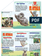 El Koala Triptico PDF