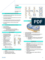 Surg-Molecular Biology PDF