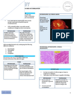 Cellular Adaptation and Accumulation