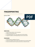 Group 1 Peta 1 - DNA Fingerprinting PDF