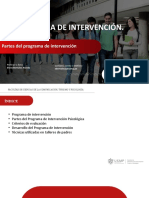 10 - X-Programa de Intervención
