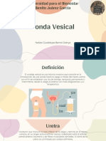Sonda Vesical PDF