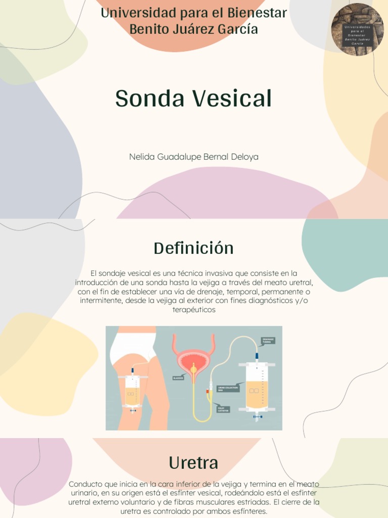 tipos-y-colocaci-n-de-sondas-vesicales-pdf