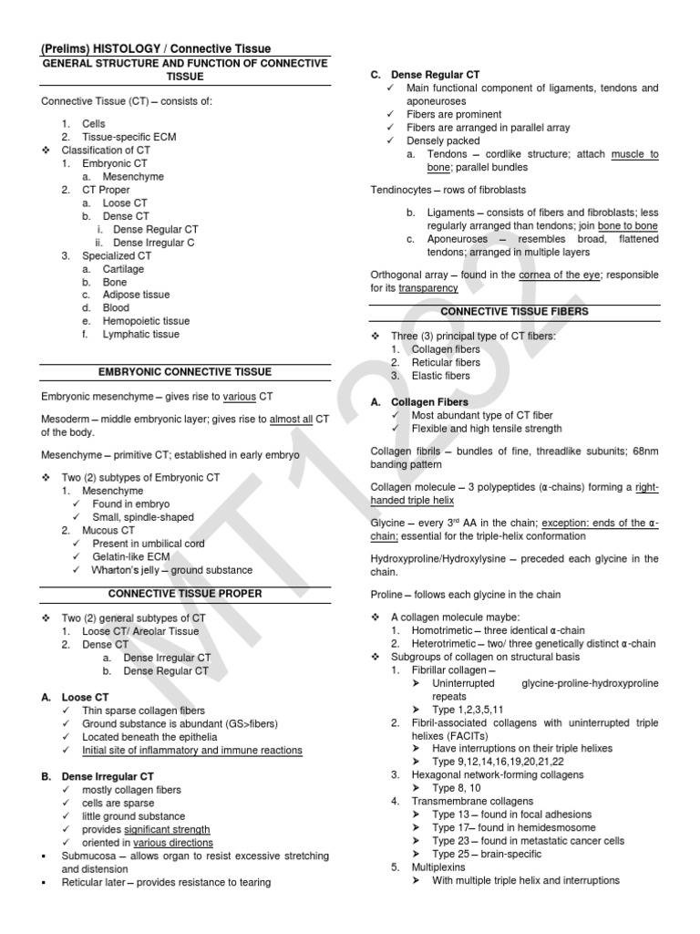 Connective Tissue: Structure & Types | PDF