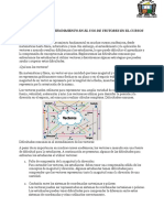 Ensayo de Dificultad en El Uso de Vectores