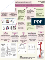 Dispositivos de Asistencia de La Marcha CDRE 4806 PDF