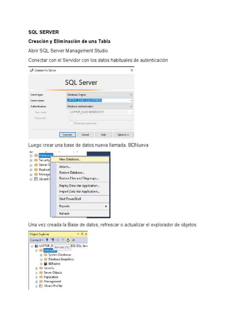 SQL Server Crear y Eliminar Tabla | PDF