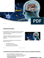 Neuroplasticidad Estimulacion PDF