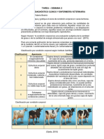 Tarea 2 PDF