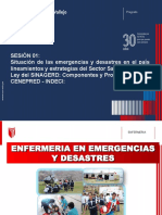 Pregrado: Gestión de riesgos de desastres en el Perú