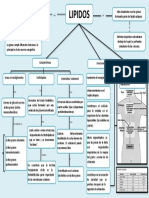 Mapa Conceptual de Los Lipidos 6