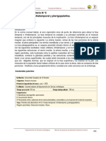 Lab Anato #9 PDF