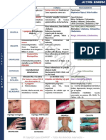 Piodermitis (Impétigo, Erisipela, Celulitis, Erisipeloide, Eritrasma, Ritter, Fascitis)