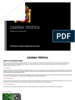 Cadena Trófica PDF