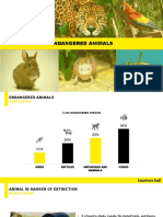 Animal Extinction PDF