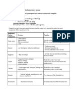 Respiratory System Student Organizer PDF