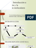 Capítulo 1 Introducción A La Regulación y La Señalización Moleculares