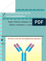 Inmunoglobulina Molecular 2