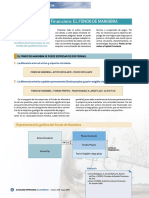 Fondo de Maniobra - Ficha Sencilla-3 PDF