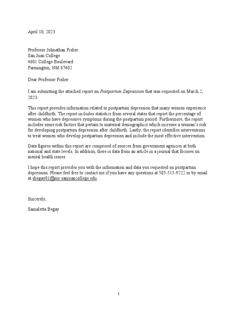 Postpartum Depression Report Overview | PDF