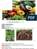 Alimenticias 2017-18 PDF