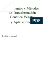 Fundamentos y Métodos de Transformación Genética Vegetal 1 PDF