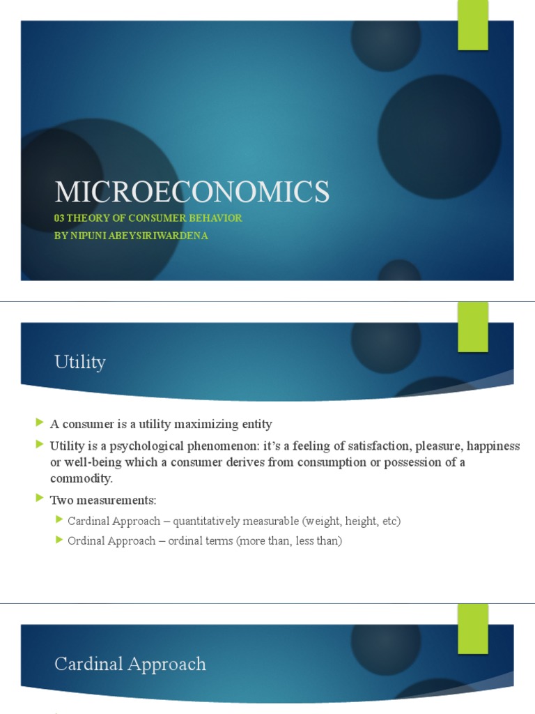 Theory of Consumer Behavior | PDF | Utility | Marginal Utility