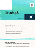 Lipogénesis