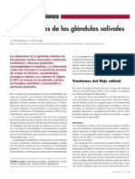 Enfermedades de Las Glándulas Salivales 2002 PDF