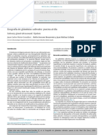 Ecografia de Glandulas Salivales Puesta Al Dia 2021 PDF