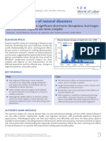Economic Effects of Natural Disasters PDF
