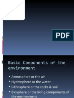 Componenets of The Environment