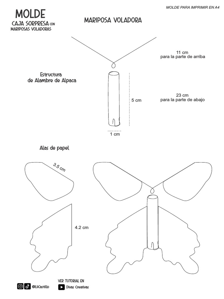 MOLDE - Caja y Mariposas Actualizado