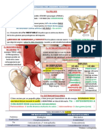Fracturas MMII PDF