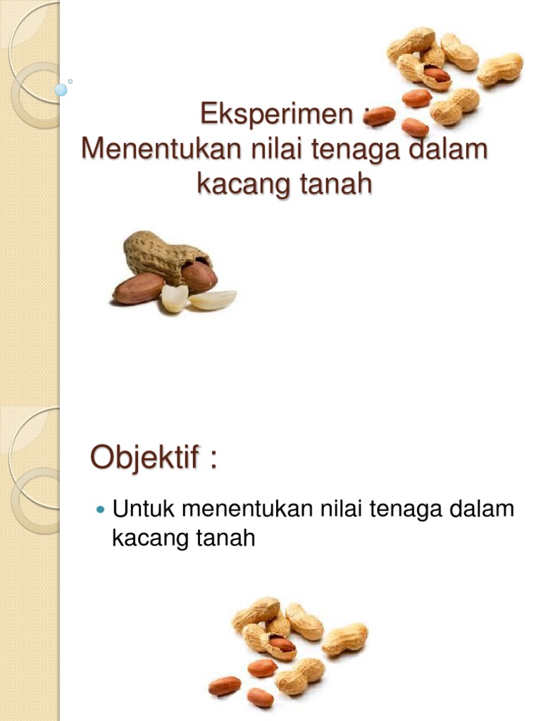 Eksperimen Peanut Pdf