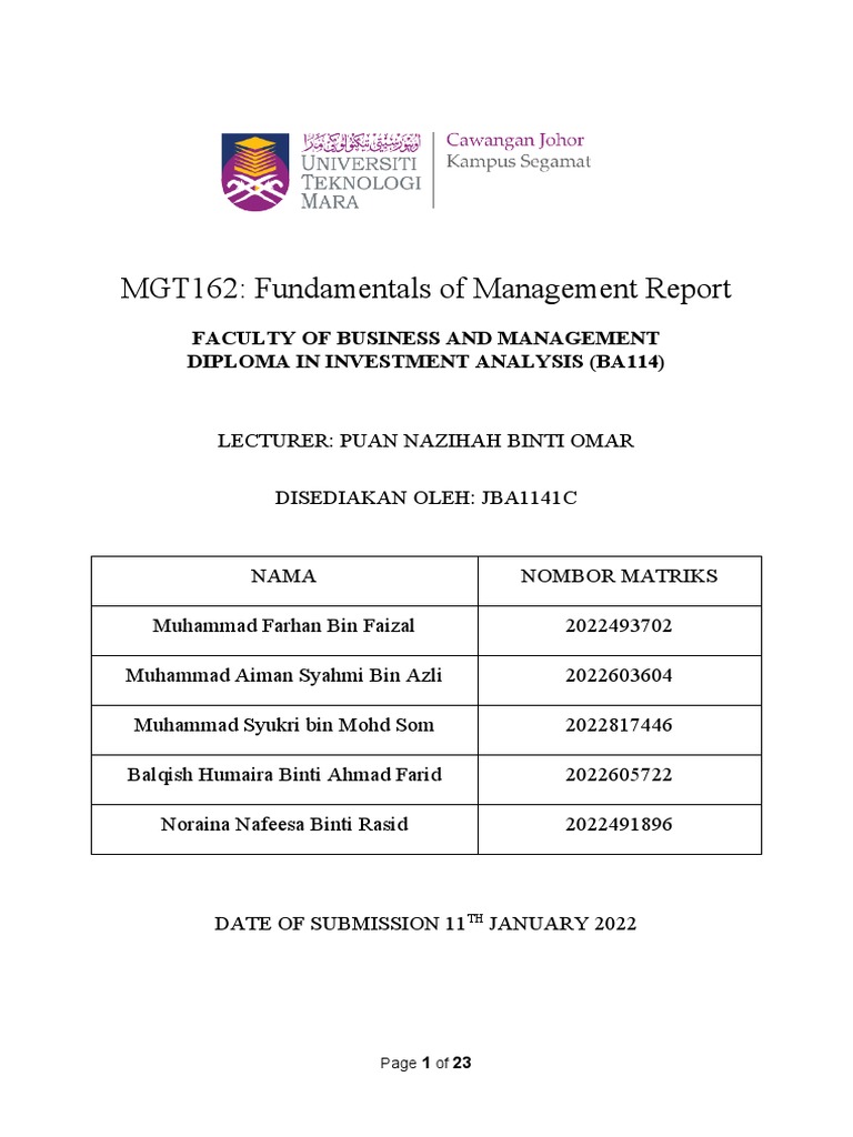 MGT Group Project | PDF