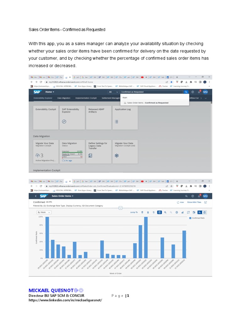 Sales Managers' Order Analysis Tool | PDF | Computing | Software