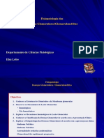 Fisiop Rim 2022-Glomerulopatias PDF