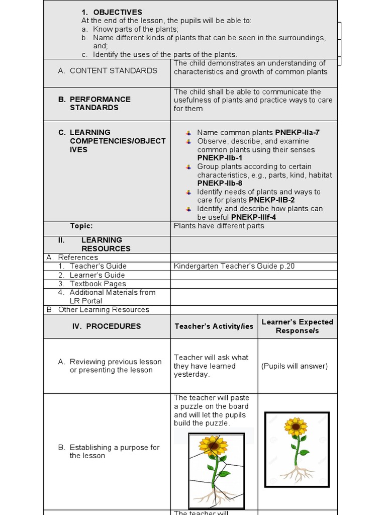 Parts and Uses of Plants A Lesson on Identifying Plant Structures and