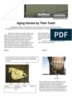 Aging Horses by Their Teeth PDF